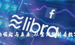 揭秘虚拟币的崛起与未来：从案例分析看数字货