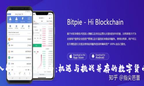 : 深入解析Sak虚拟币：机遇与挑战并存的数字货币新星