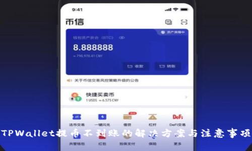 TPWallet提币不到账的解决方案与注意事项
