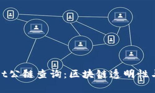 全面解析TPWallet公链查询：区块链透明性与安全性完美结合