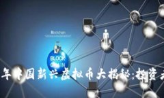 2023年中国新兴虚拟币大揭
