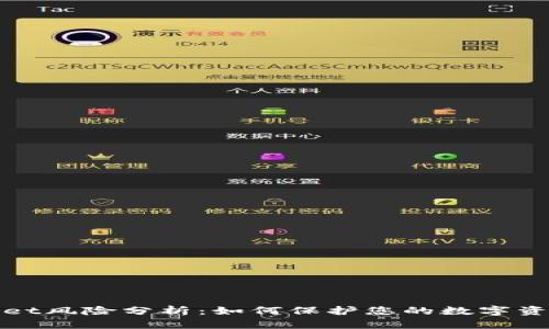 TPWallet风险分析：如何保护您的数字资产安全