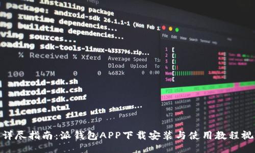: 详尽指南：派钱包APP下载安装与使用教程视频