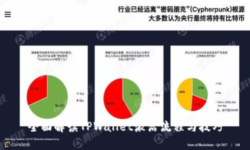 全面解读TPWallet激活流程与技巧