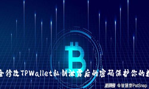 如何安全修改TPWallet私钥泄露后的密码保护你的数字资产