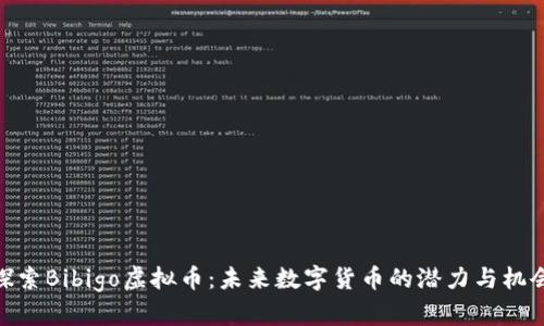 探索Bibigo虚拟币：未来数字货币的潜力与机会