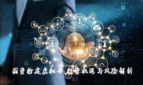 国资抄底虚拟币：投资机遇与风险解析