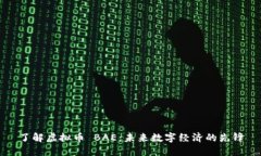 了解虚拟币 BAE：未来数字