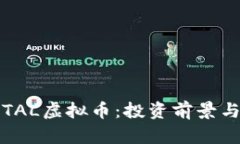 深入解析TAL虚拟币：投资