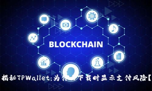 揭秘TPWallet：为什么下载时显示支付风险？