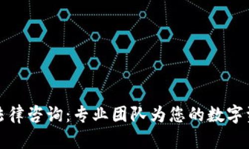 深圳虚拟币法律咨询：专业团队为您的数字资产保驾护航