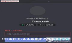 CCS虚拟币：未来数字资产