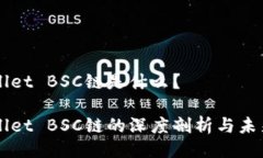 TPWallet BSC链是什么？TPWallet BSC链的深度剖析与未