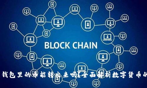 TP观察：钱包里的币能转出来吗？全面解析数字货币的流动性