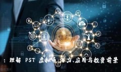 : 理解 PST 虚拟币：潜力、