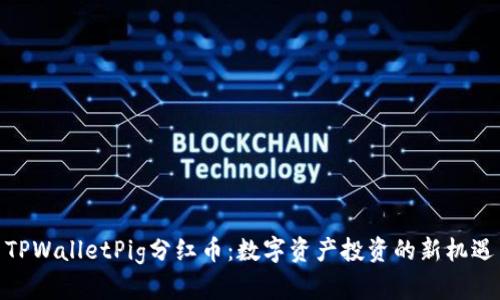 TPWalletPig分红币：数字资产投资的新机遇
