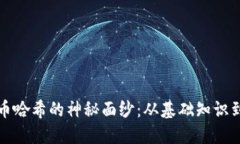 揭开虚拟币哈希的神秘面