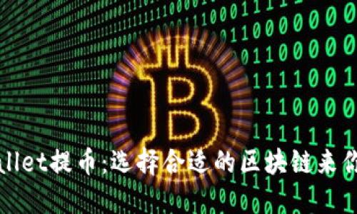 如何在TPWallet提币：选择合适的区块链来你的资产安全