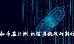 虚拟币在非洲：机遇与挑