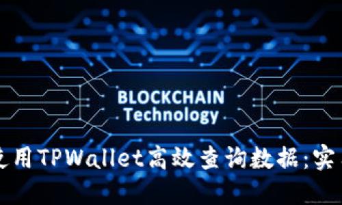 如何使用TPWallet高效查询数据：实用指南