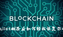 TP Wallet删除后如何轻松恢