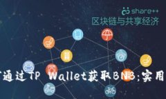 如何通过TP Wallet获取BNB：