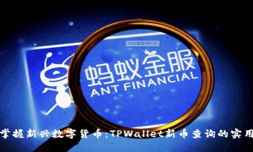 迅速掌握新兴数字货币：TPWallet新币查询的实用指南