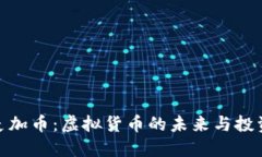 探索麦加币：虚拟货币的