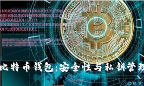 TPWallet比特币钱包：安全性与私钥管理的新思考
