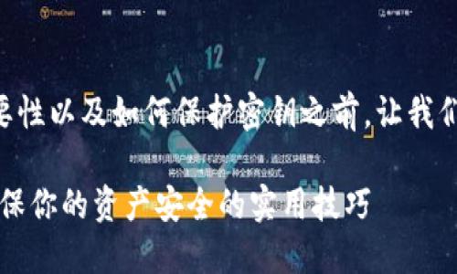 在谈论TPWallet密钥的重要性以及如何保护密钥之前，让我们先看一下及关键词的设计。

TPWallet密钥保护指南：确保你的资产安全的实用技巧