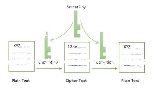 在使用 TPWallet 查看币的名称时，可以遵循以下步骤：

### 1. **打开 TPWallet 应用**
首先，确保你已经下载并安装了 TPWallet 应用。在你的手机上找到并打开它。

### 2. **访问资产页面**
在应用的主界面，通常会有一个“资产”或“钱包”的选项。点击进入这个页面，你将看到你持有的所有加密货币的清单。

### 3. **查看币种信息**
在资产页面，你可以看到所有的币种，通常以其图标和名称展示。如果你希望探索具体的币种信息，可以点击某一种币。

### 4. **搜索特定币种**
如果你在寻找特定的币种，可以尝试使用搜索功能。在资产页面的顶部或是某个角落，通常会有一个搜索框，输入币名或简称，系统会自动过滤相关的币种。

### 5. **获取详细信息**
点击某个币种后，你可以查看关于该币种的详细信息，包括当前价格、持有数量、交易历史等。这些信息通常会显示币的名称、符号及相关的市场数据。

### 6. **关注币种动态**
有些钱包应用还会提供钱币的最新动态和相关新闻，你可以在这里了解币种的最新发展或其他用户的评论。

### 总结
通过 TPWallet，你可以方便地查看各种币的名称和相关信息。这个过程不仅简单直观，也是在管理你持有的加密资产时最基本的操作之一。如果你有特别关注的币种，可以定期查看其动态和市场趋势，以便做出更好的投资决策。

如有其他问题或需要更深入的信息，可以随时提问！
