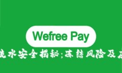 虚拟币流水安全揭秘：冻