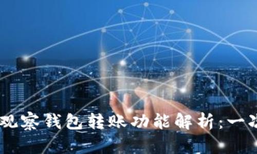 ### TPWallet观察钱包转账功能解析：一次全面的使用指南