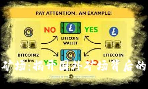 探索虚拟币矿场：揭开国外矿场背后的秘密与机遇