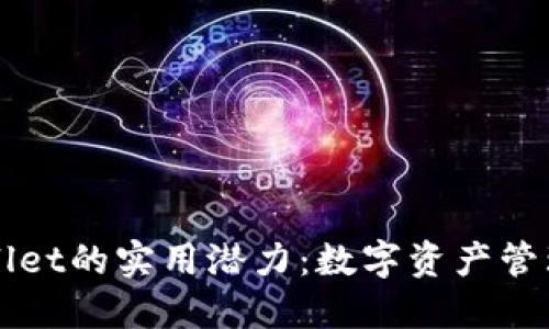 解锁TPWallet的实用潜力：数字资产管理的新时代