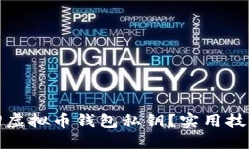 如何找回虚拟币钱包私钥？实用技巧与建议