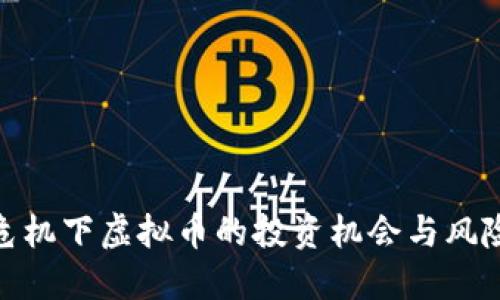 金融危机下虚拟币的投资机会与风险探讨