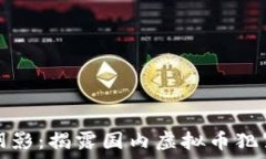   虚拟币的阴影：揭露国内
