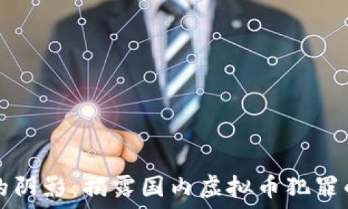   
虚拟币的阴影：揭露国内虚拟币犯罪的黑暗面