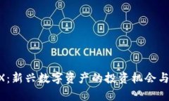 虚拟币HX：新兴数字资产的
