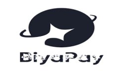 : 利用TPWallet快速购买数字