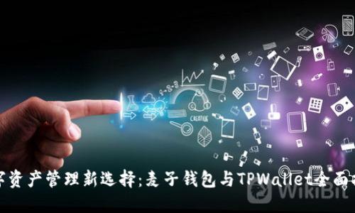 数字资产管理新选择：麦子钱包与TPWallet全面指南
