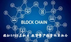 揭秘BPRO虚拟币：数字资产