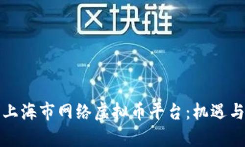 深度解析上海市网络虚拟币平台：机遇与挑战并存