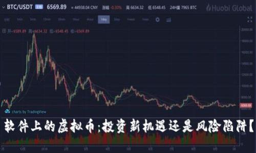 软件上的虚拟币：投资新机遇还是风险陷阱？