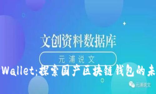 TPWallet：探索国产区块链钱包的未来
