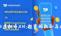 揭秘虚拟币XM：投资的机会