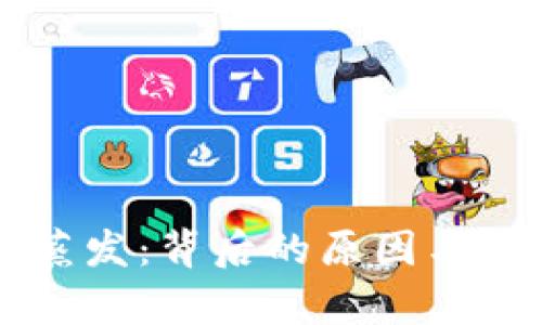 韩国虚拟币蒸发：背后的原因与市场影响分析