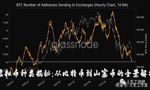 虚拟币种类揭秘：从比特币到山寨币的全景解析