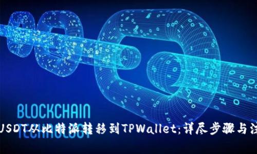 如何将USDT从比特派转移到TPWallet：详尽步骤与注意事项